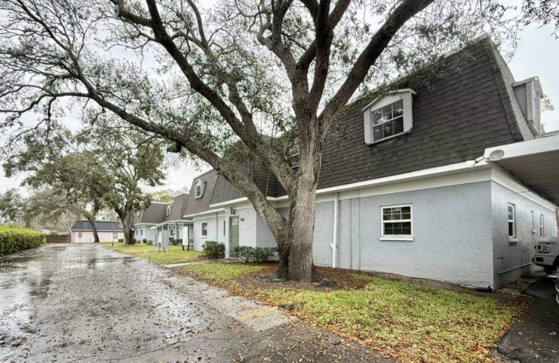 Condo for rent at 1712 Belleair Forest Dr #D, Clearwater, FL 33756