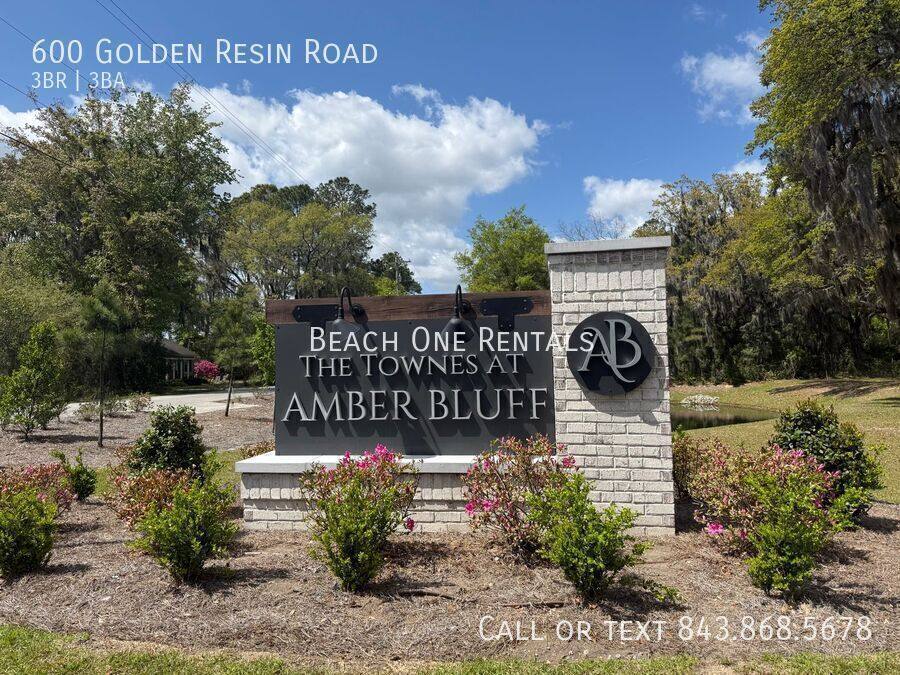 Townhouse for rent at 600 Golden Resin Rd, Conway, SC 29526