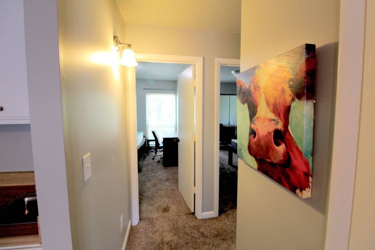 Townhouse for rent at 1320 Bradley Dr, Harrisonburg, VA 22801