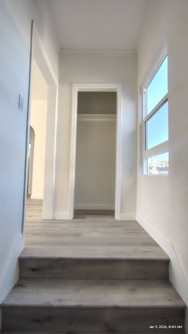 Apartment for rent at 1565 S Hobart Blvd, Los Angeles, CA 90006