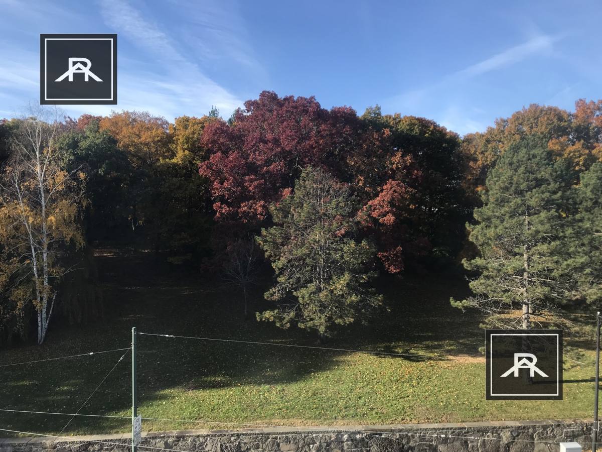 Apartment for rent at 1882 Commonwealth Ave #16, Brighton, MA 02135