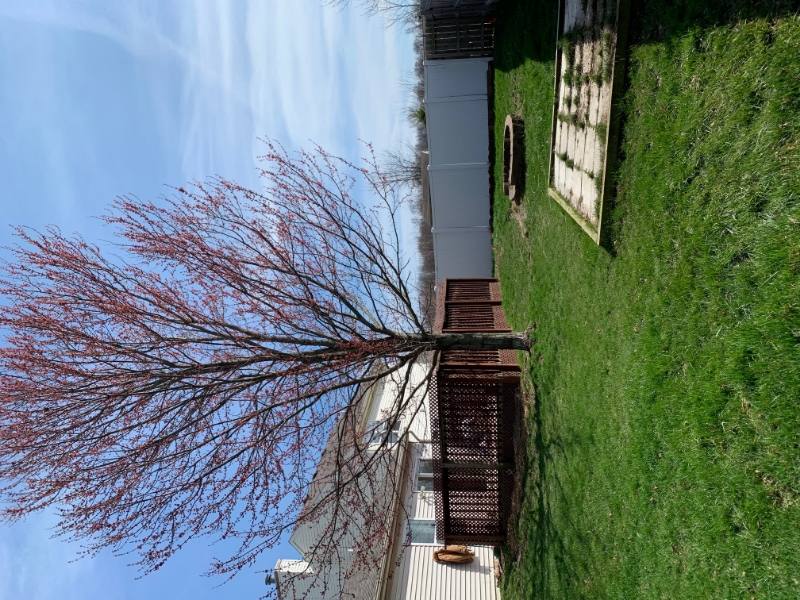 House for rent at 3216 Hunter Dr, West Lafayette, IN 47906