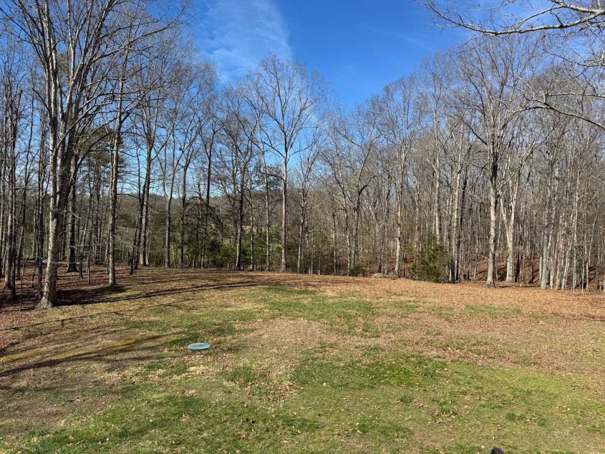 House for rent at 95 Amber Woods Dr, Glasgow, VA 24555