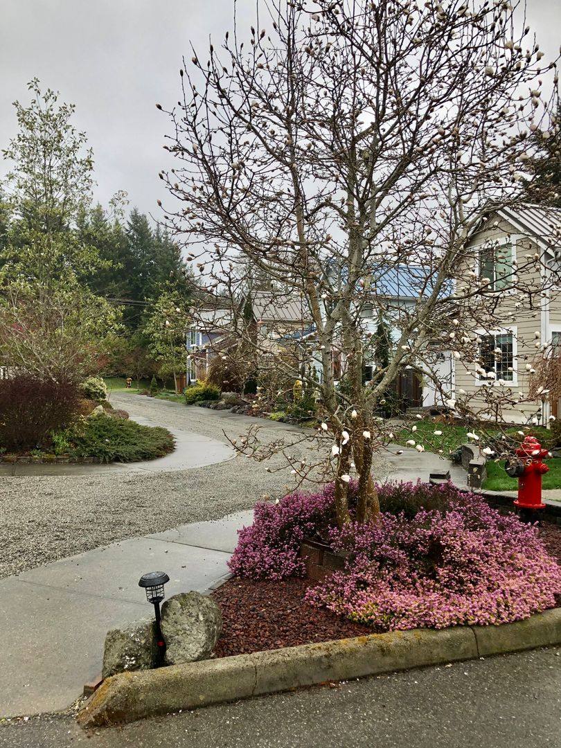 Townhouse for rent at 1510 NE Mesford Rd, Poulsbo, WA 98370