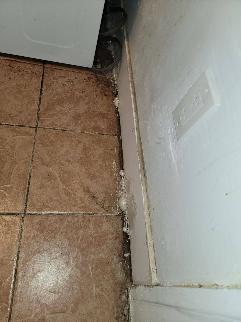 Apartment for rent at 1185 E 167th St, Cleveland, OH 44110