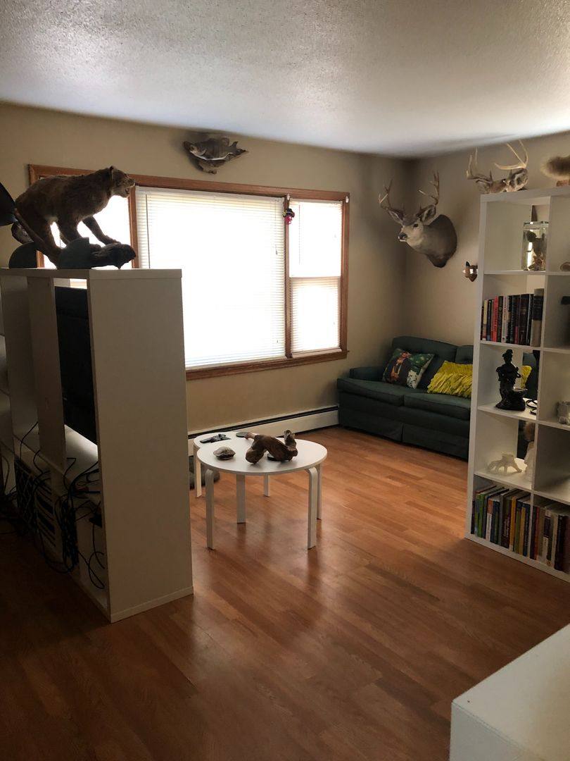 Apartment for rent at 3049 Grand St NE, Minneapolis, MN 55418