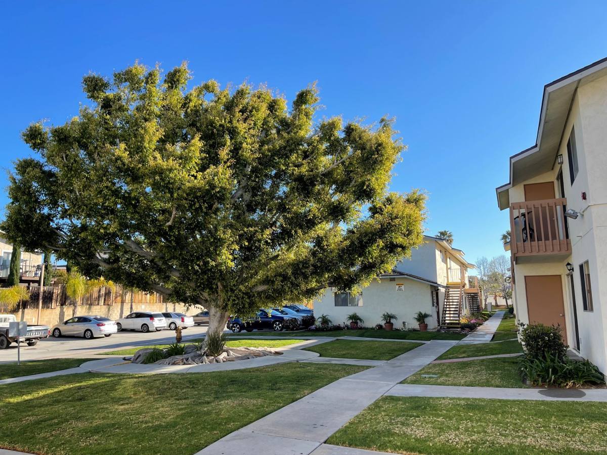 Apartment for rent at 1241 5th Ave, Chula Vista, CA 91910