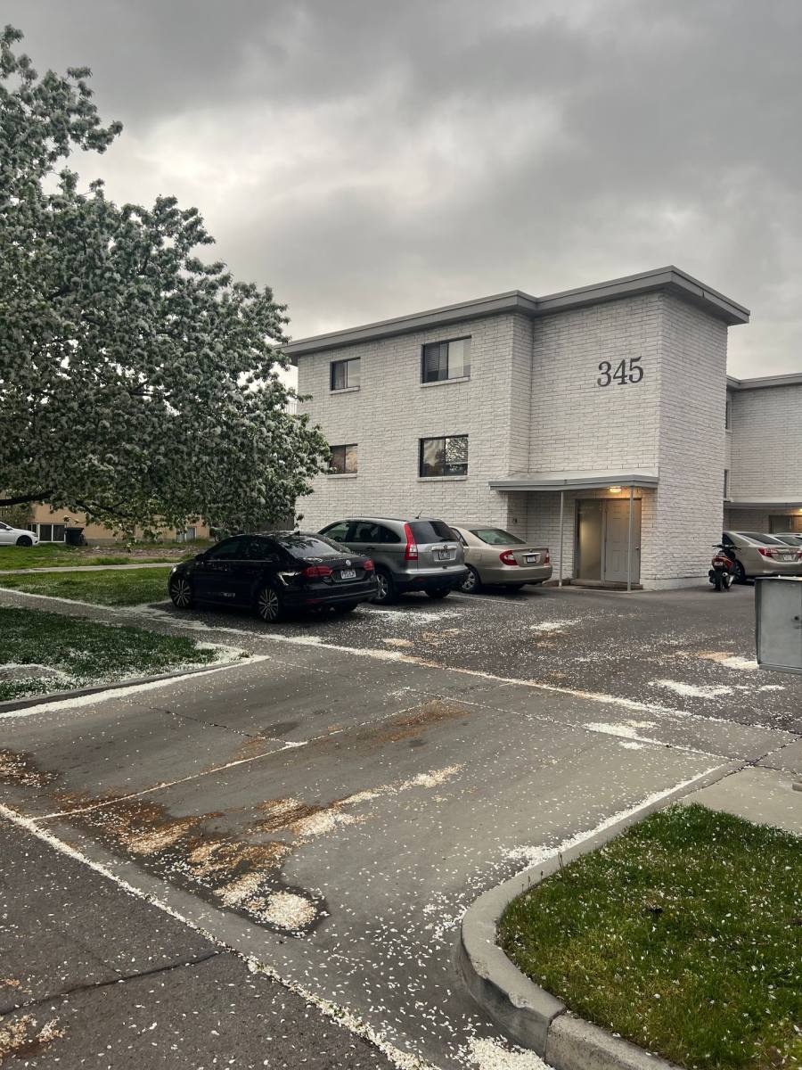 Apartment for rent at 345 E 300 N, Provo, UT 84606