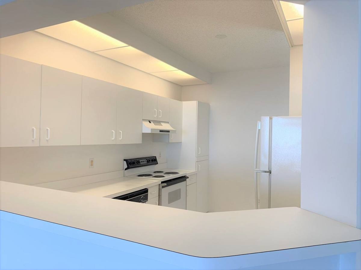 Condo for rent at 8040 Sailboat Key Blvd S #203, Saint Petersburg, FL 33707