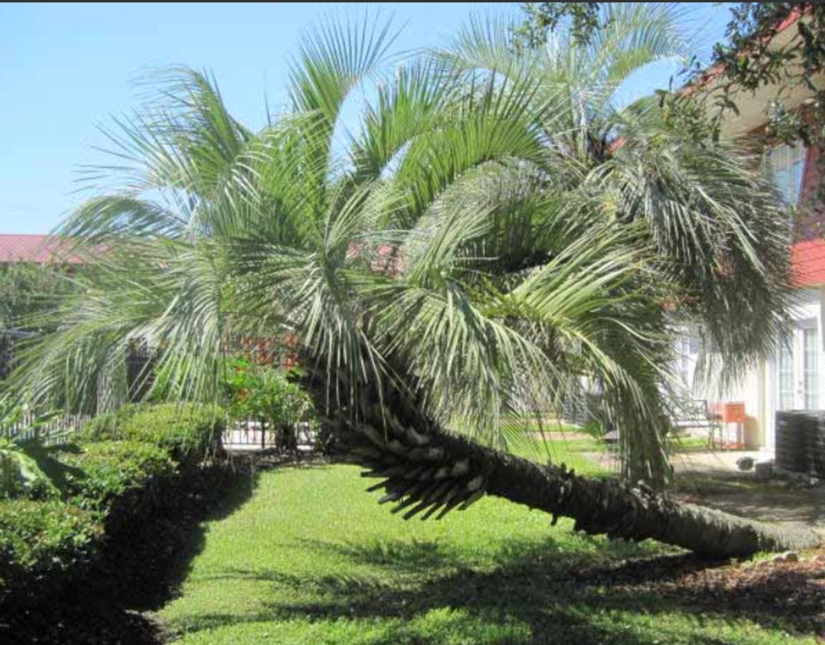 Apartment for rent at 1334 Pascagoula St, Pascagoula, MS 39567