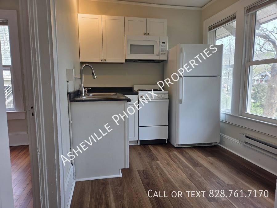 Apartment for rent at 295 E Chestnut St #4, Asheville, NC 28801