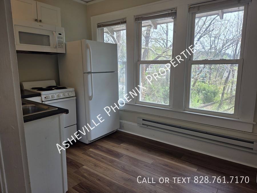 Apartment for rent at 295 E Chestnut St #4, Asheville, NC 28801