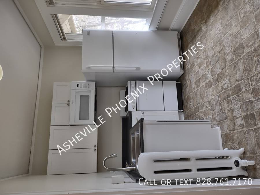 Apartment for rent at 295 E Chestnut St #4, Asheville, NC 28801