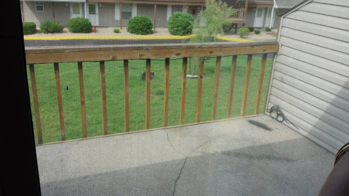 Condo for rent at 2 Memory Lane, Branson, MO 65616