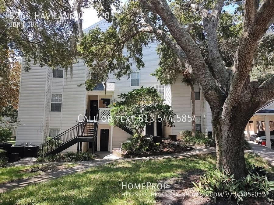 Condo for rent at 3266 Haviland Court #101, Palm Harbor, FL 34684