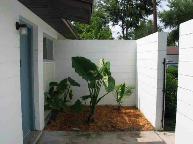 Apartment for rent at 3601 SW 31st Dr, Gainesville, FL 32608