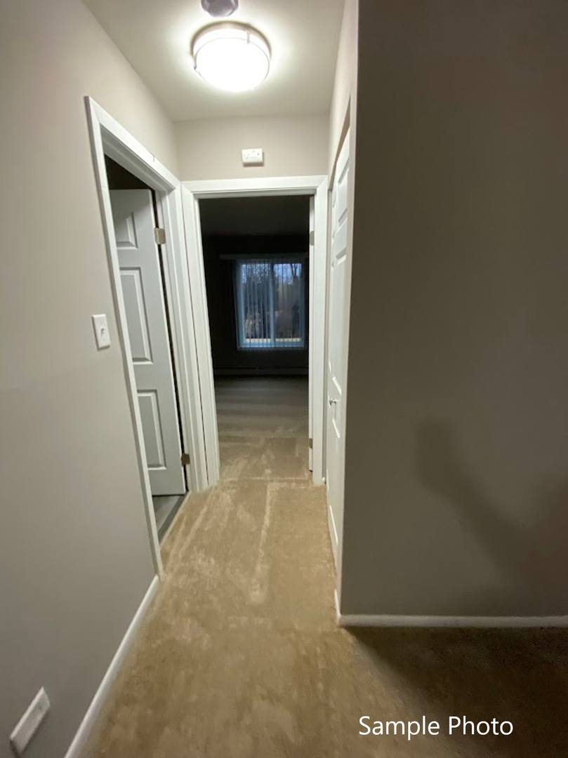 Apartment for rent at 149 N Milwaukee Ave, Lake Villa, IL 60046
