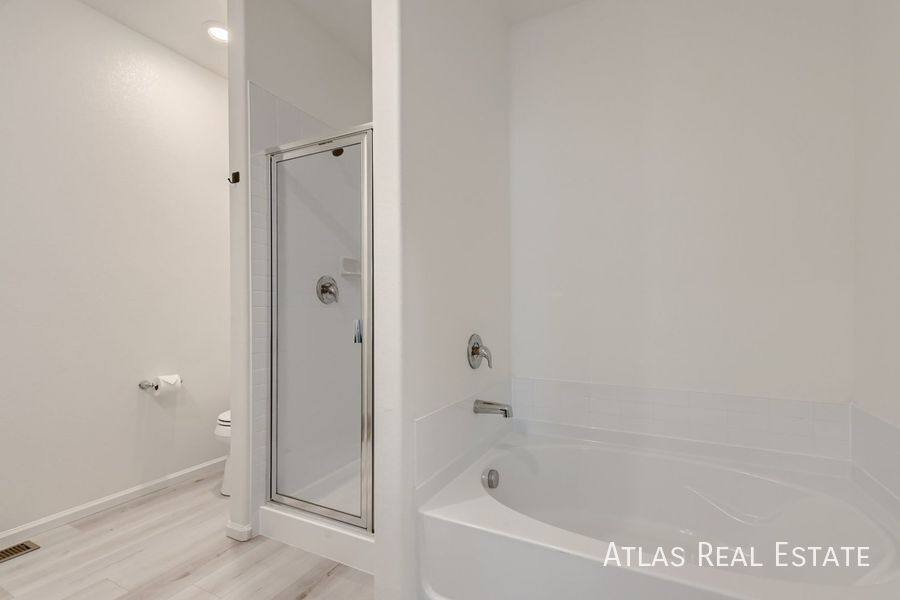 House for rent at 987 Cascade Falls St, Windsor, CO 80550