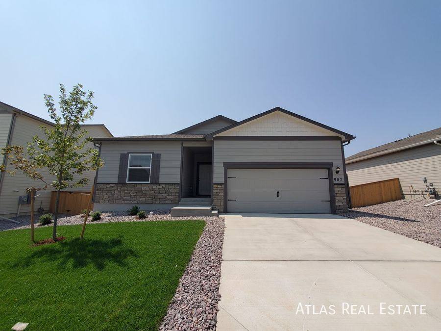 House for rent at 987 Cascade Falls St, Windsor, CO 80550