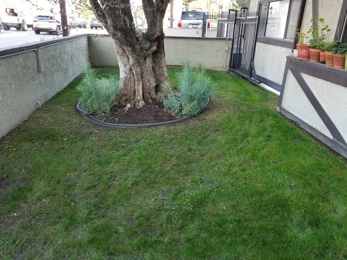 Apartment for rent at 11028 Moorpark St #202, North Hollywood, CA 91602