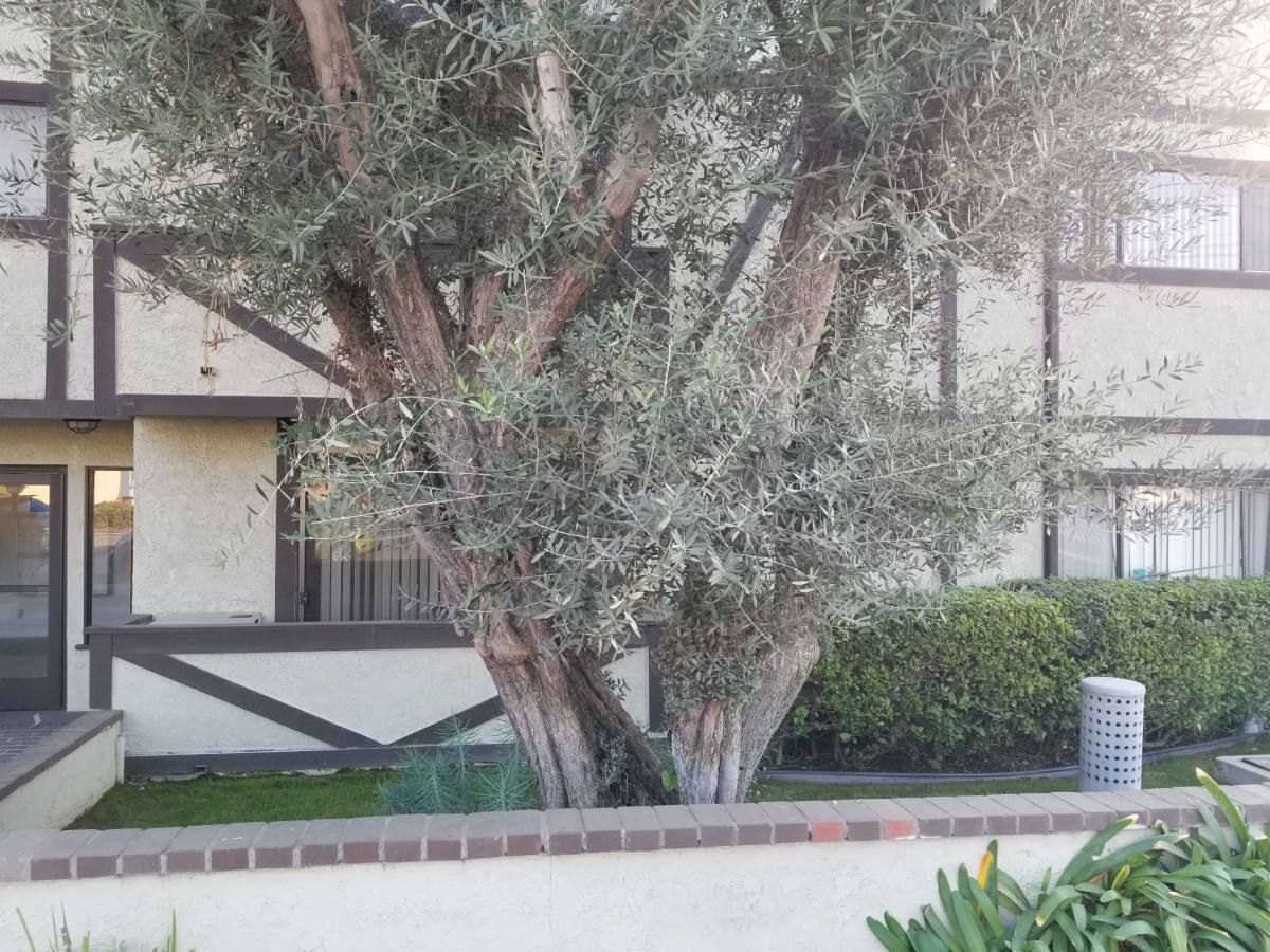 Apartment for rent at 11028 Moorpark St #202, North Hollywood, CA 91602