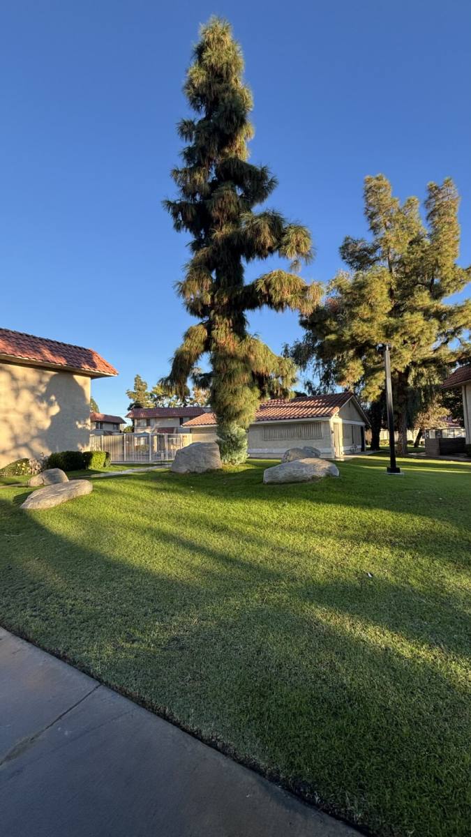 Condo for rent at 82567 Ave 48 #109, Indio, CA 92201