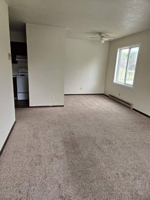 Apartment for rent at 309 W 9th St #14, Starbuck, MN 56381