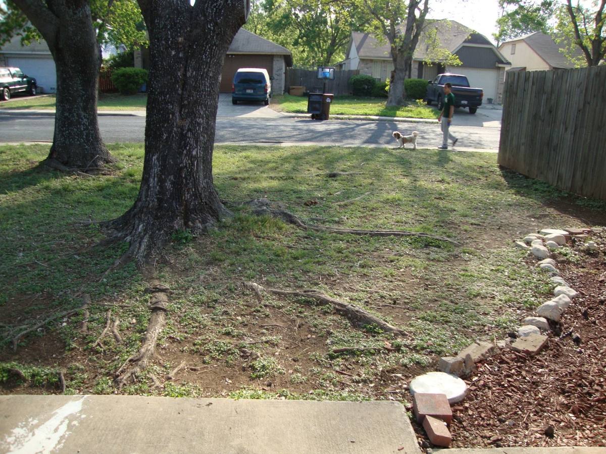 House for rent at 11371-FISH Springs, San Antonio, TX 78245