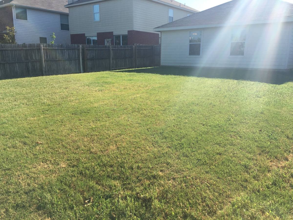 House for rent at 11405 Gloriosa Dr, Keller, TX 76244