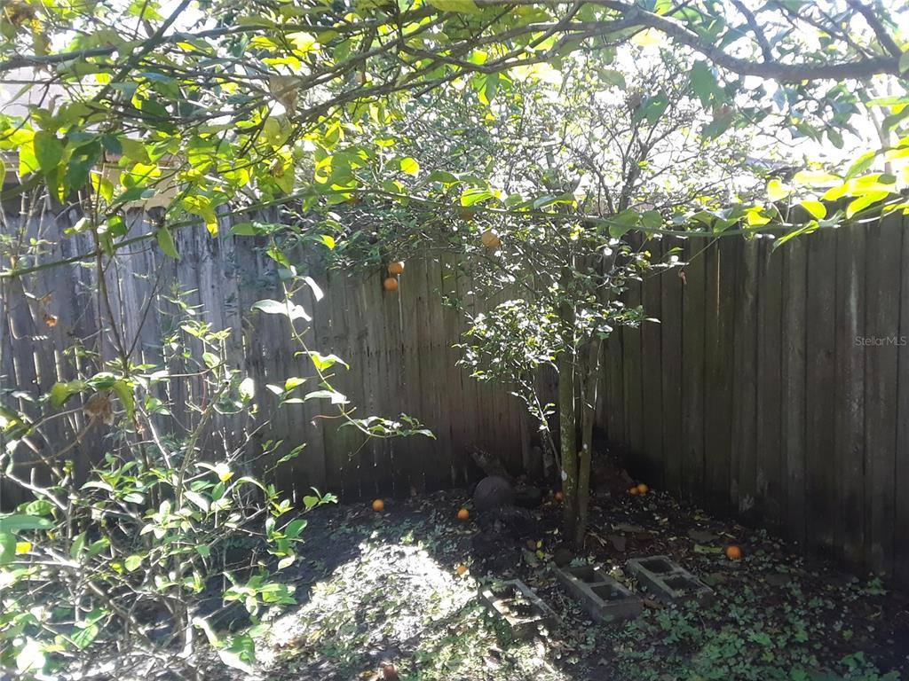 Apartment for rent at 1303 Candlewyck Dr, Orlando, FL 32807