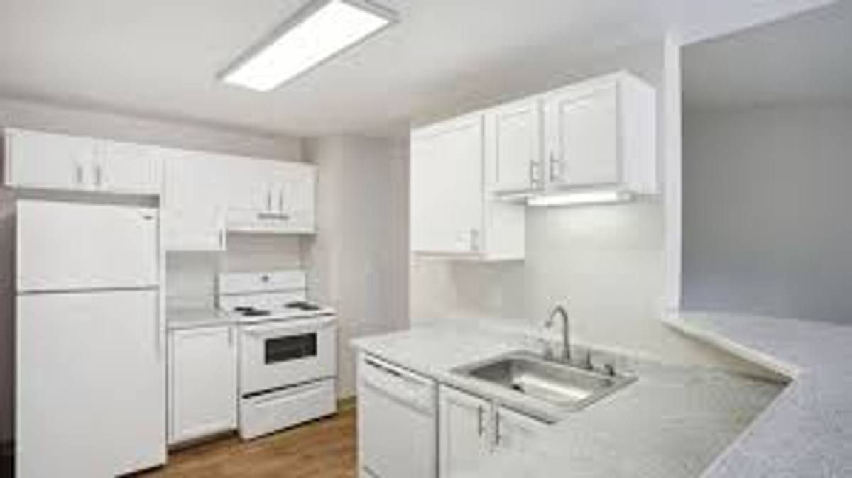 Apartment for rent at 12825 60th Lane S, Seattle, WA 98178