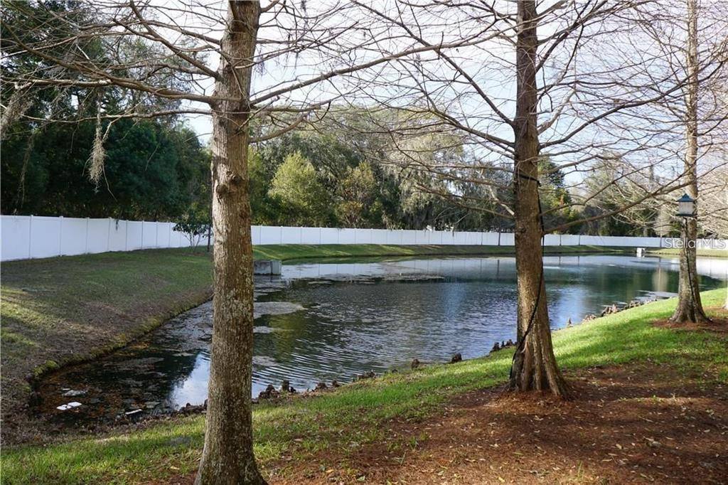 Townhouse for rent at 3567 High Hampton Circle, Tampa, FL 33610