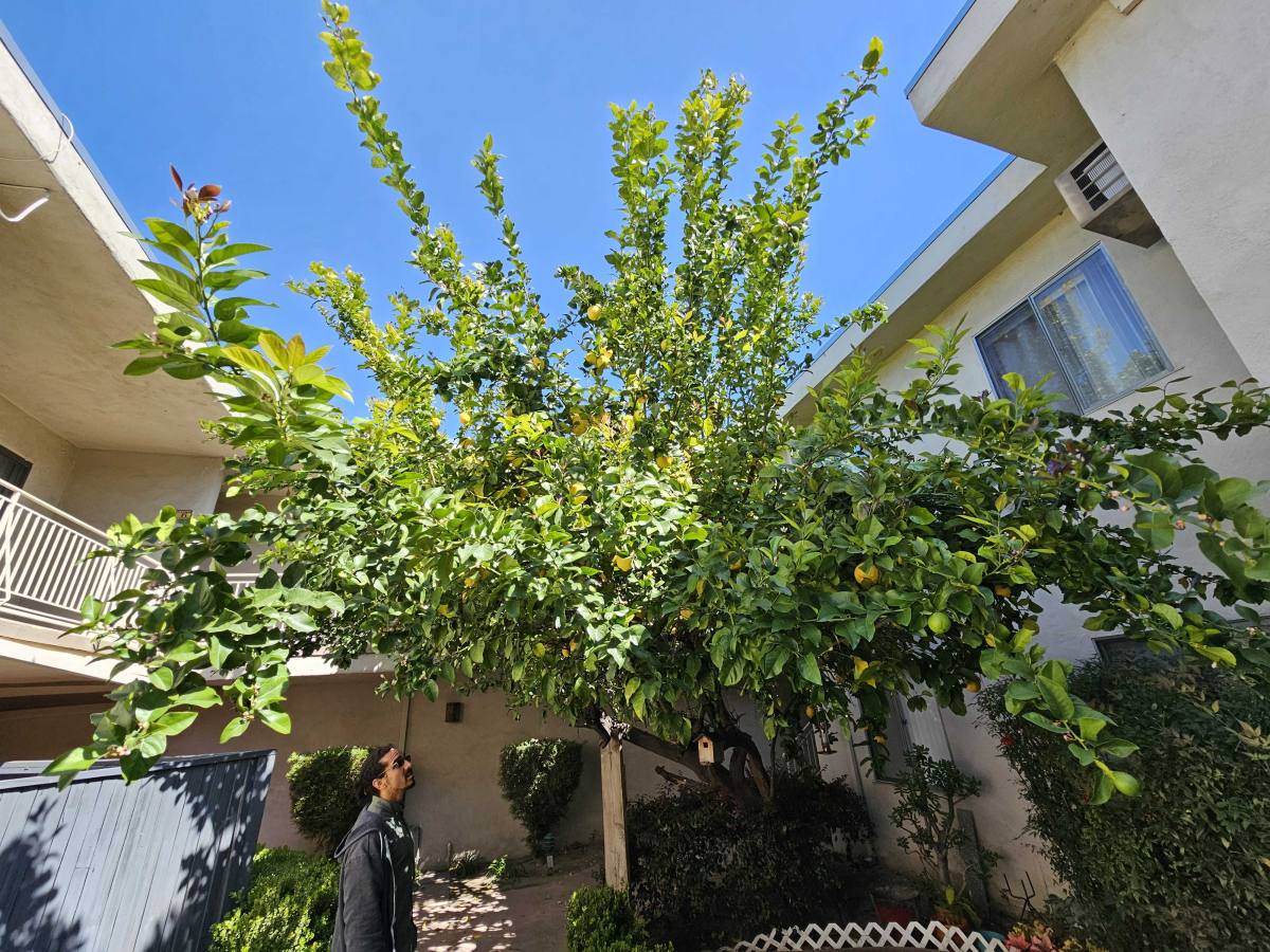 Apartment for rent at 11839 Magnolia Blvd #26, Valley Village, CA 91607