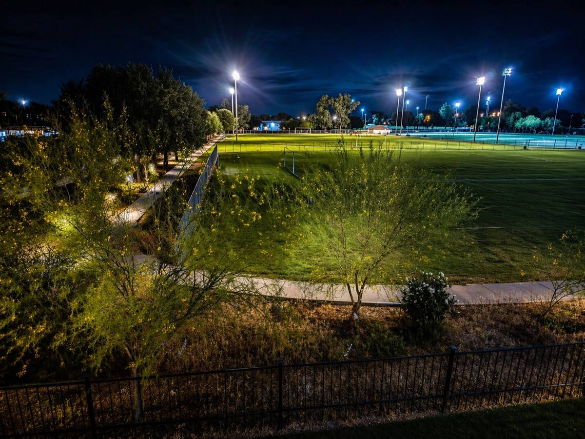 Apartment for rent at 221 E Olive St, Tucson, AZ 85706