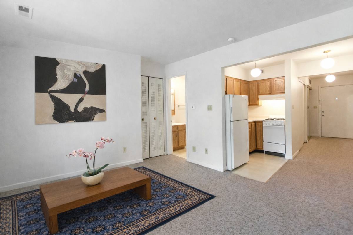 Apartment for rent at 509 E 10th St, Bloomington, IN 47408