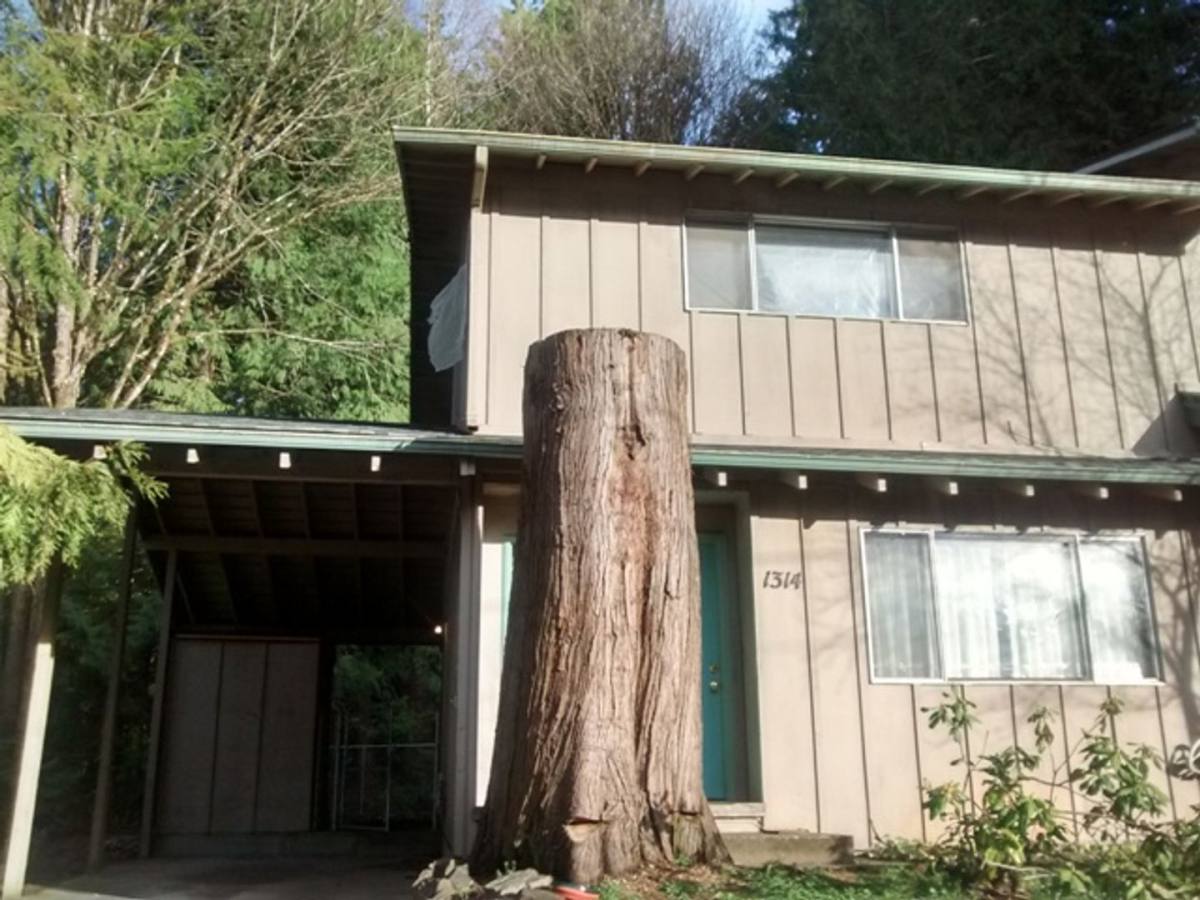 Apartment for rent at 1314 S 2nd St, Shelton, WA 98584