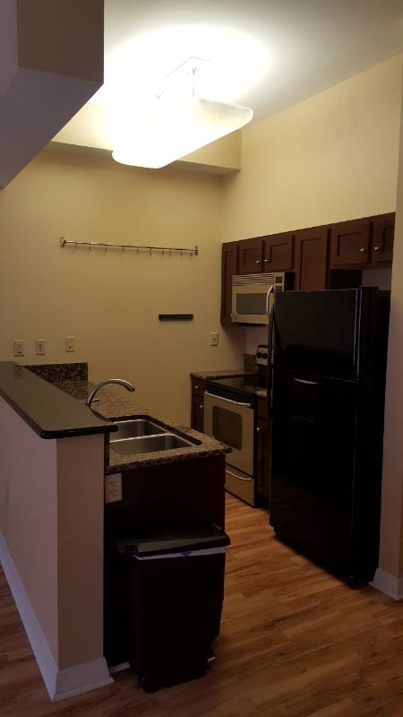 Apartment for rent at 241 Granby, Norfolk, VA 23510