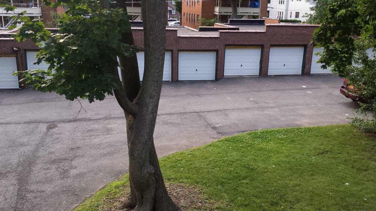 Apartment for rent at 148 Manning Blvd, Albany, NY 12203