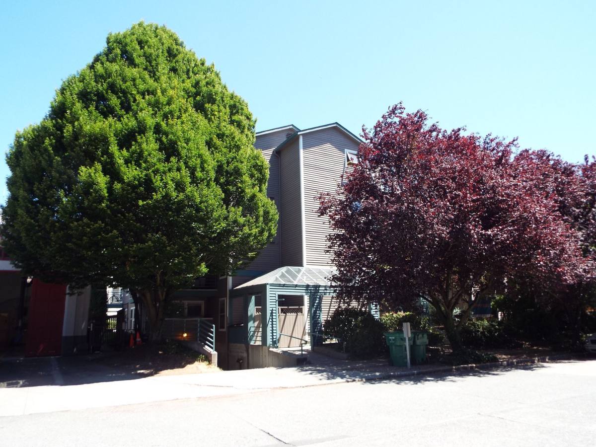 6840 Oswego Place NE, Seattle, WA 98115 - Apartment for Rent - Image 3