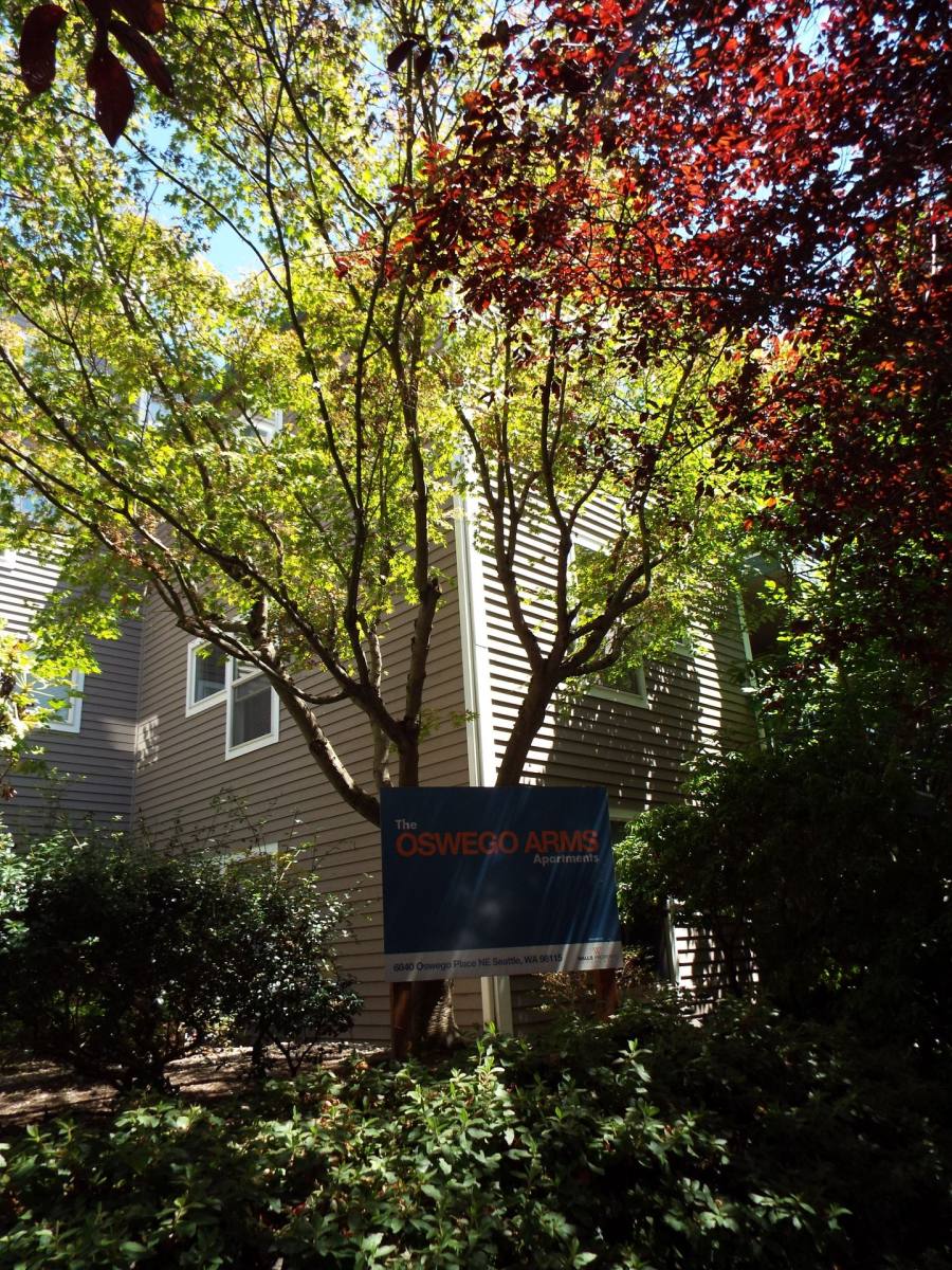 6840 Oswego Place NE, Seattle, WA 98115 - Apartment for Rent - Image 7