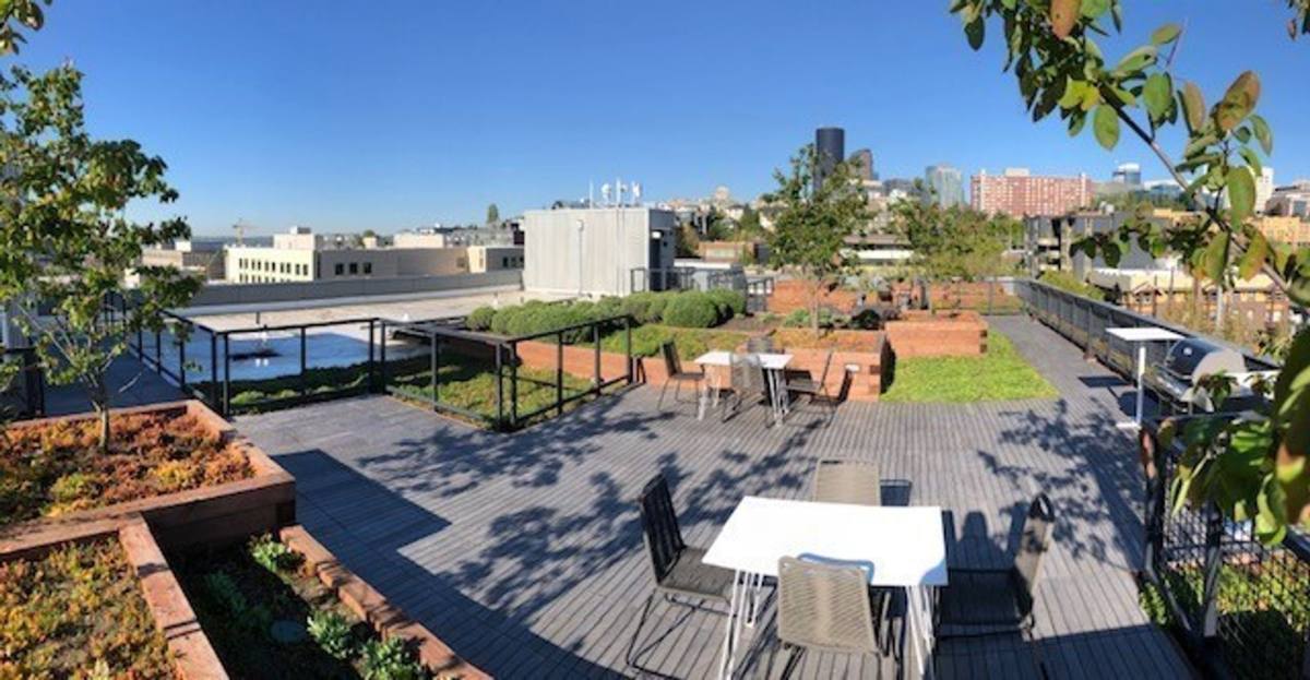 Apartment for rent at 1315 E Jefferson St, Seattle, WA 98122