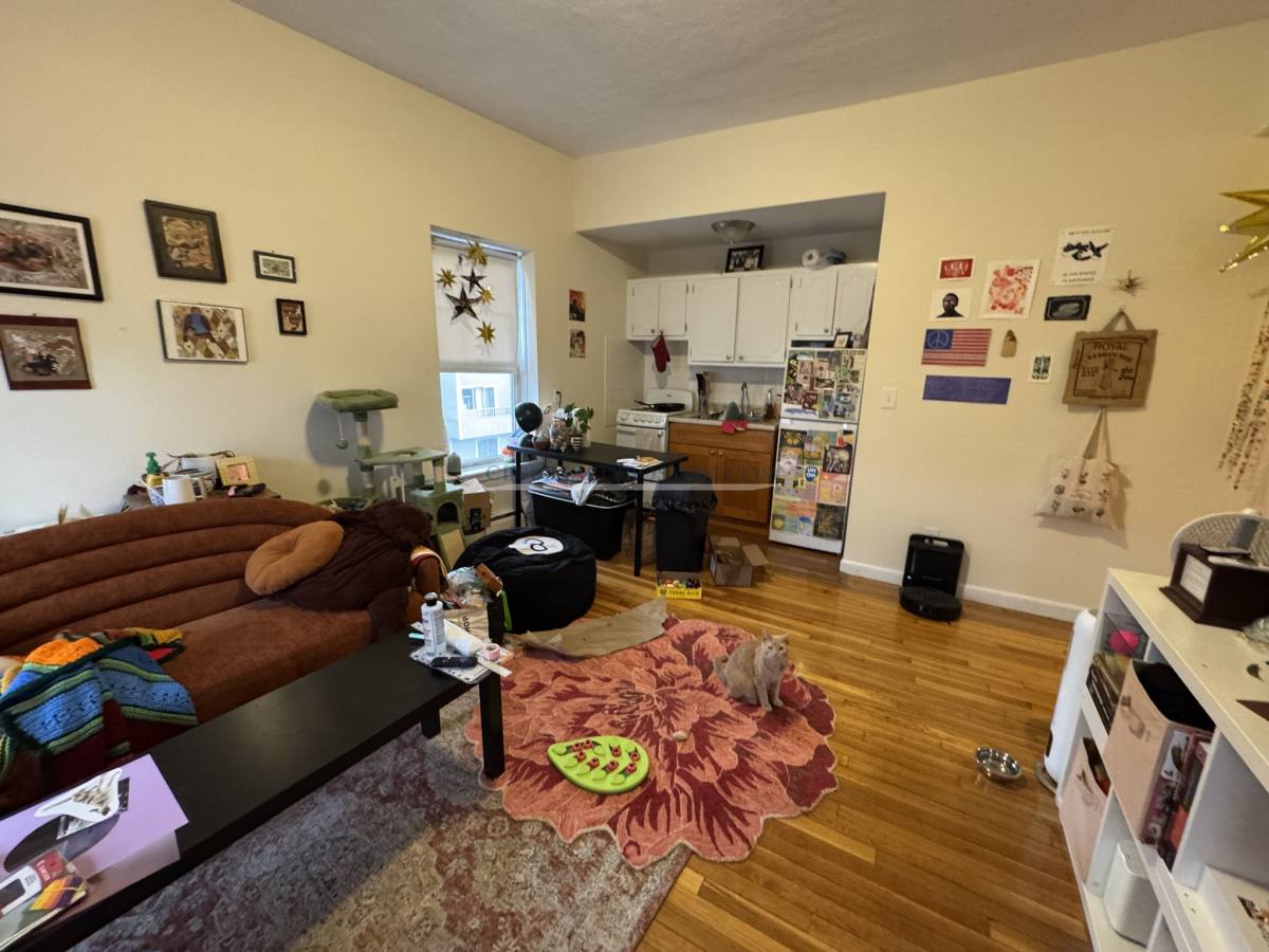 Apartment for rent at 160 N Beacon St #11, Brighton, MA 02135