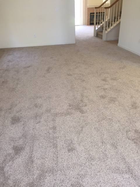 House for rent at 8022 Mammoth Dr, Rohnert Park, CA 94928