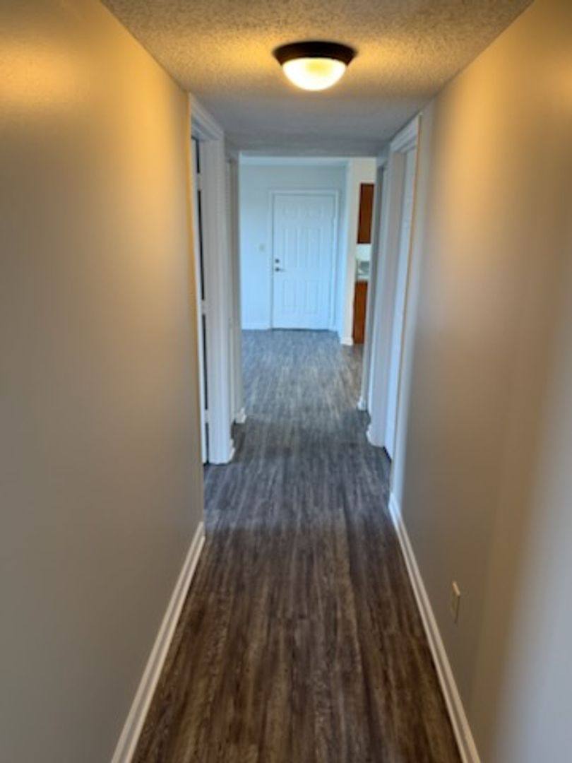 Apartment for rent at 3404 Dill St #401, Knoxville, TN 37917