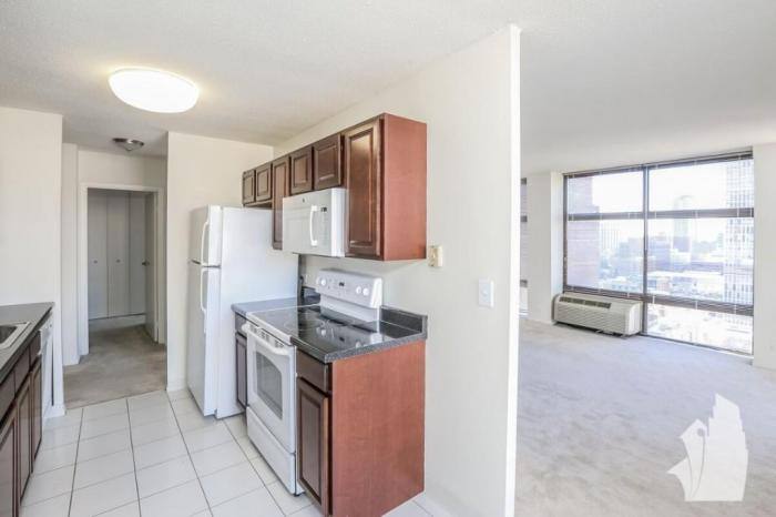 Apartment for rent at 65 E Scott #6507A, Chicago, IL 60611