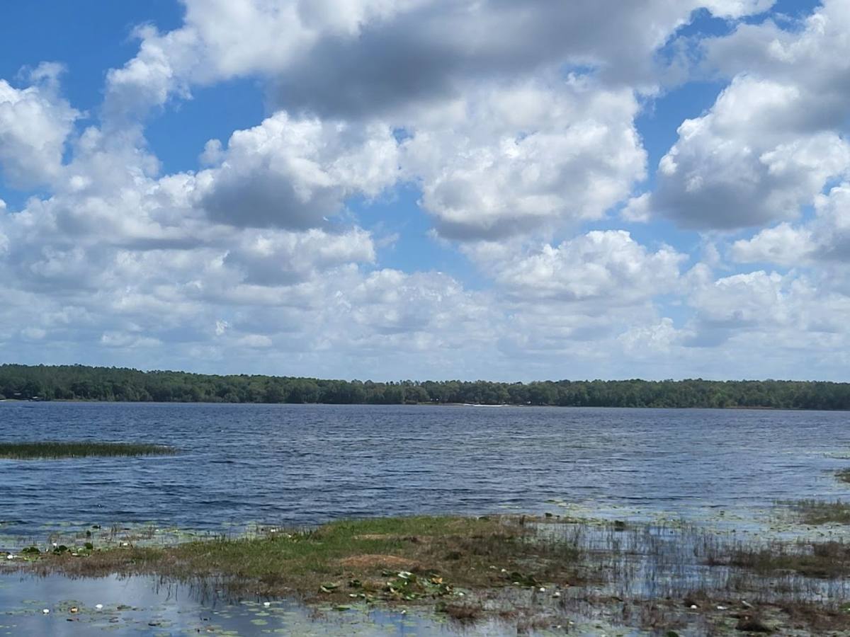 House for rent at 10325 SE 144th Place, Summerfield, FL 34491