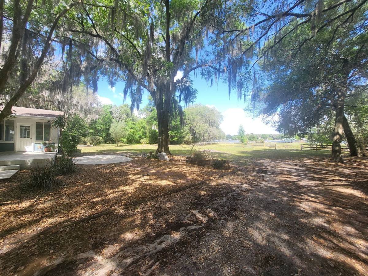 House for rent at 10325 SE 144th Place, Summerfield, FL 34491