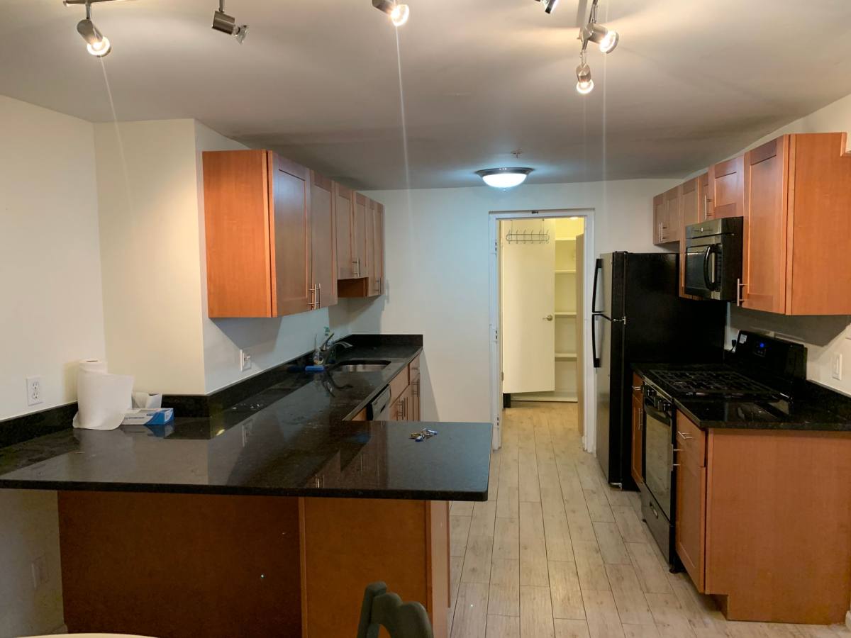 Apartment for rent at 260 Dwight St, New Haven, CT 06511