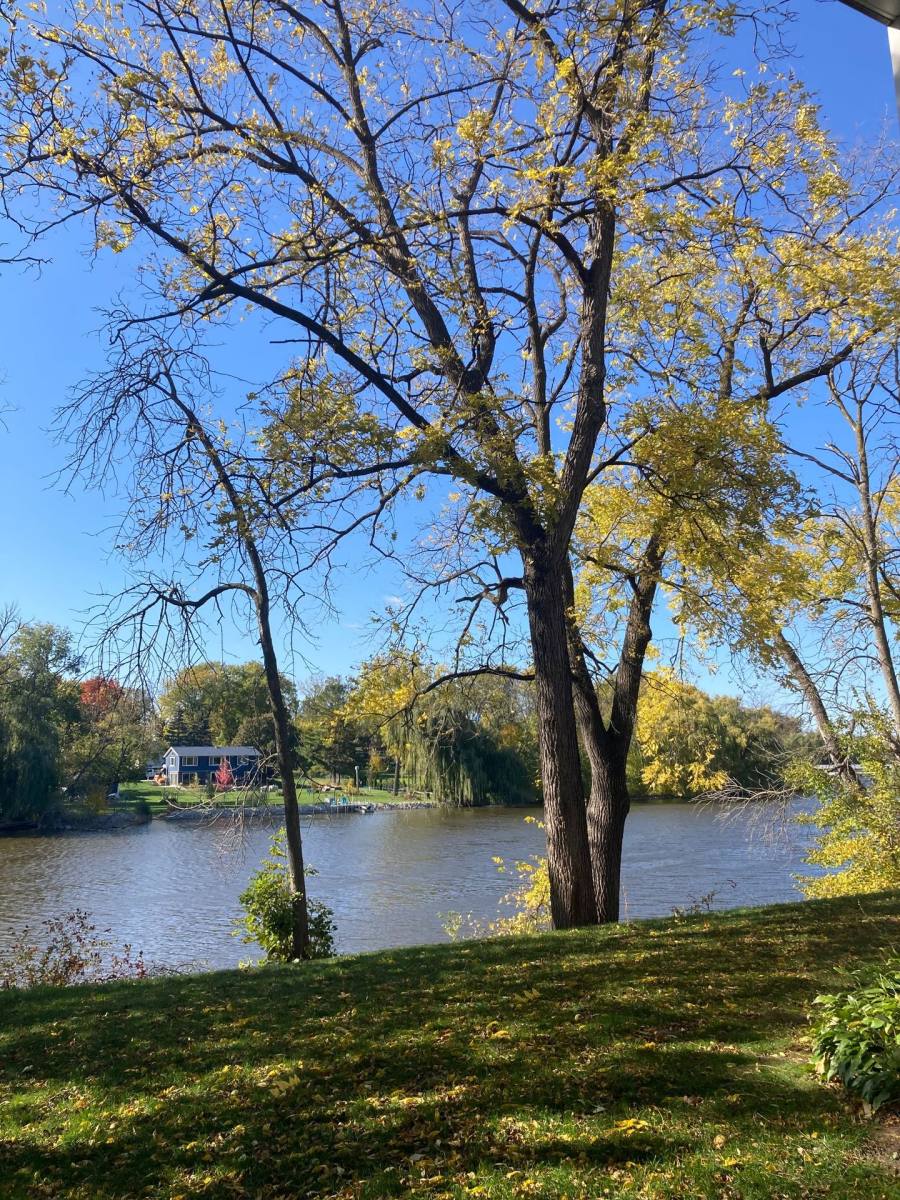 Apartment for rent at 417 & 421 N Elizabeth Ave, Jefferson, WI 53549