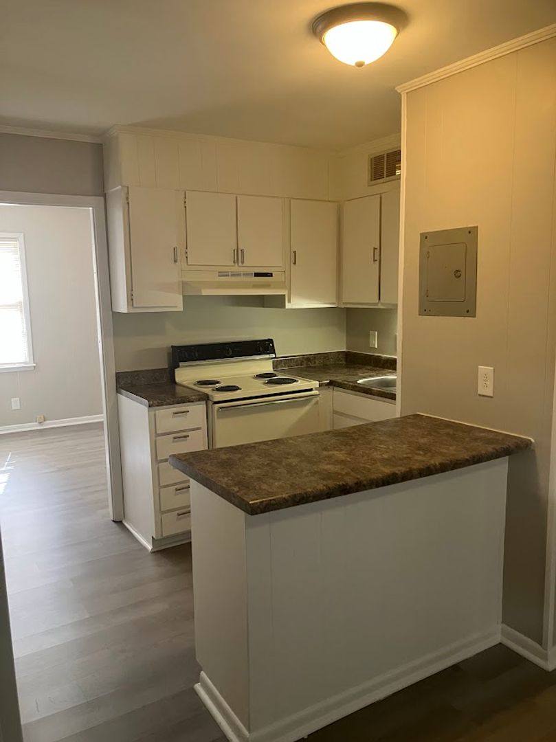 Apartment for rent at 241 Riley Ave, Macon, GA 31204